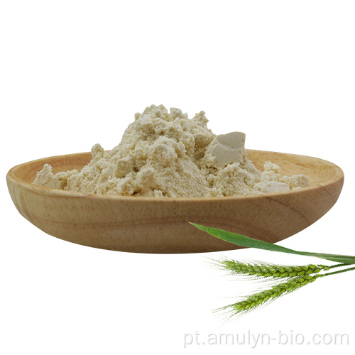 Proteína em pó de concentrado hidrolisado de trigo a 80% à base de plantas